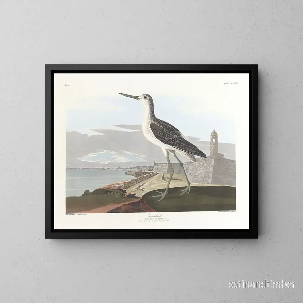 Reproduktion av målningen Barge à queue noire - John James Audubon