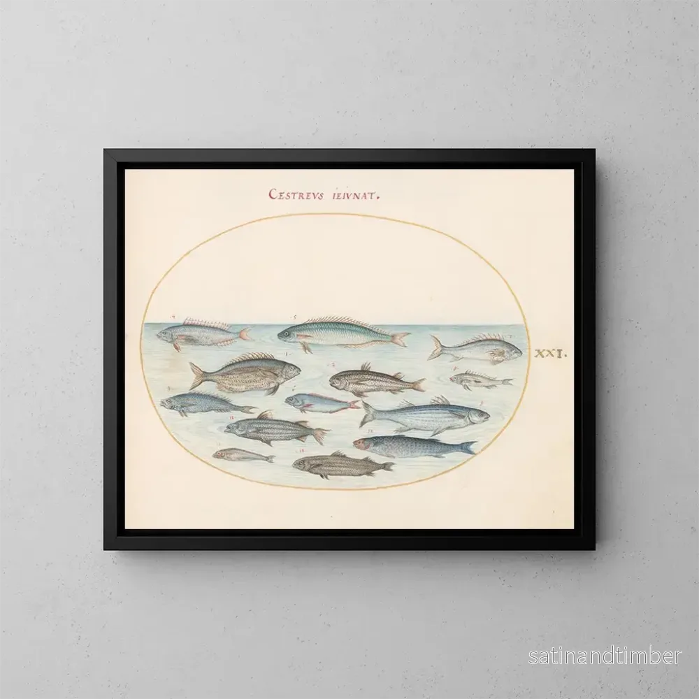 Reproduktion av målningen Planche 21: Morue et autres poissons - Joris Hoefnagel