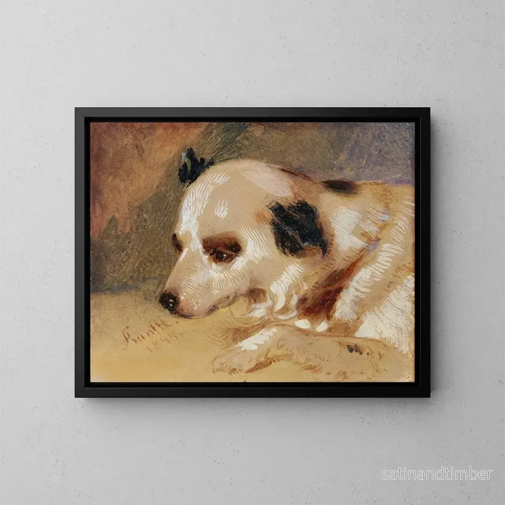 Reproduktion av målningen Tête de chien - Johann Matthias Ranftl