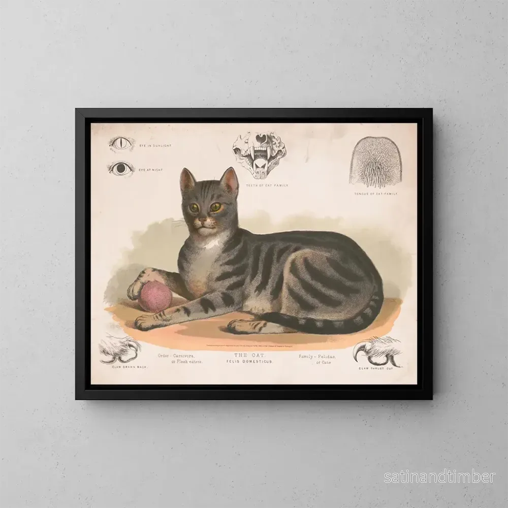 Reproduktion av målningen Le chat domestique - Louis Prang Co