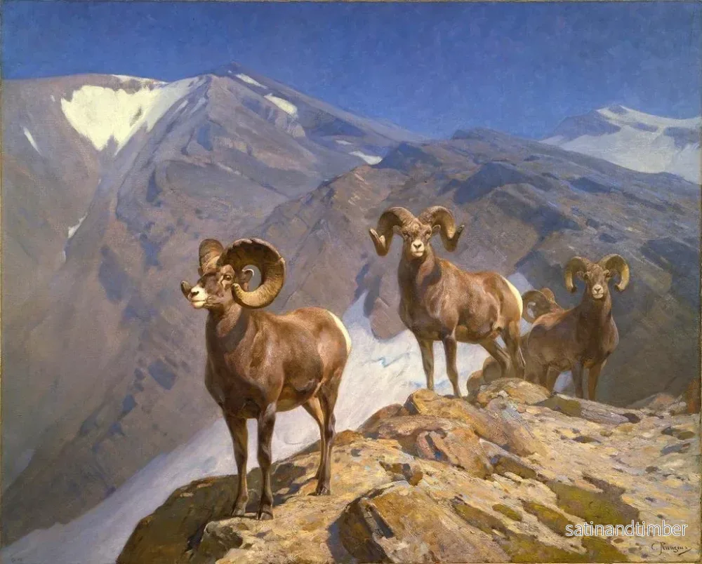 Reproduktion av målningen Les moutons de Dall sur le col Wilcox - Carl Rungius - Bild 2
