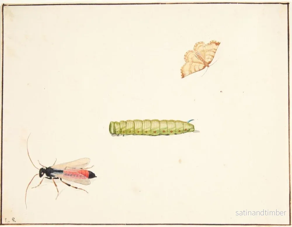 Reproduktion av målningen Tre studier av insekter - Pieter Holsteijn - Bild 2