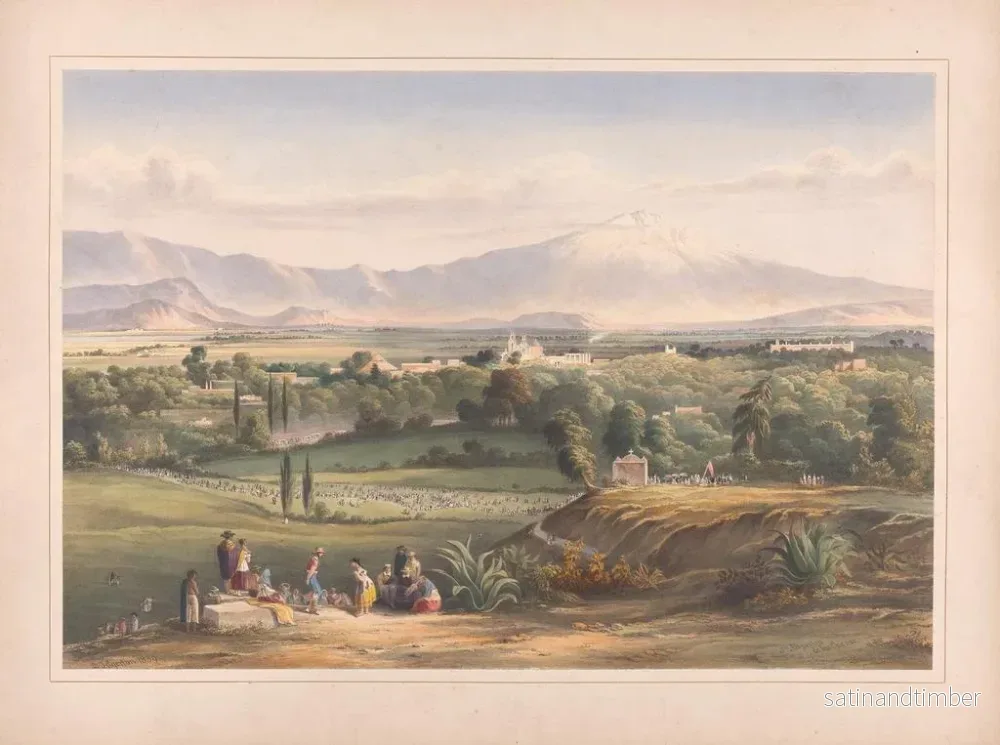 Reproduktion av målningen Vyer av Egerton i Mexiko, Pl. 12 - Daniel Thomas Egerton - Bild 2