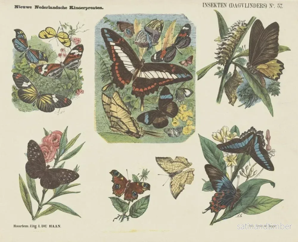 Reproduktion av målningen Insekter dagfjärilar - Emrik Binger - Bild 2