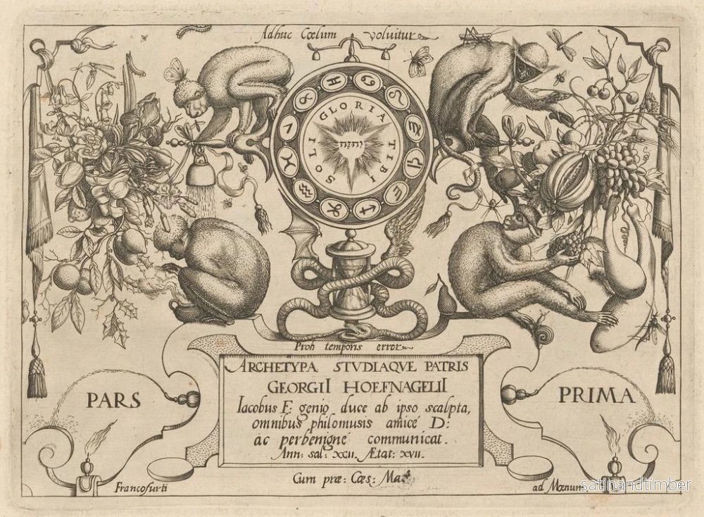 Reproduktion av målningen av arketyp och studier av fadern Georgius Hoefnagel, Pl12 - Joris Hoefnagel - Bild 2