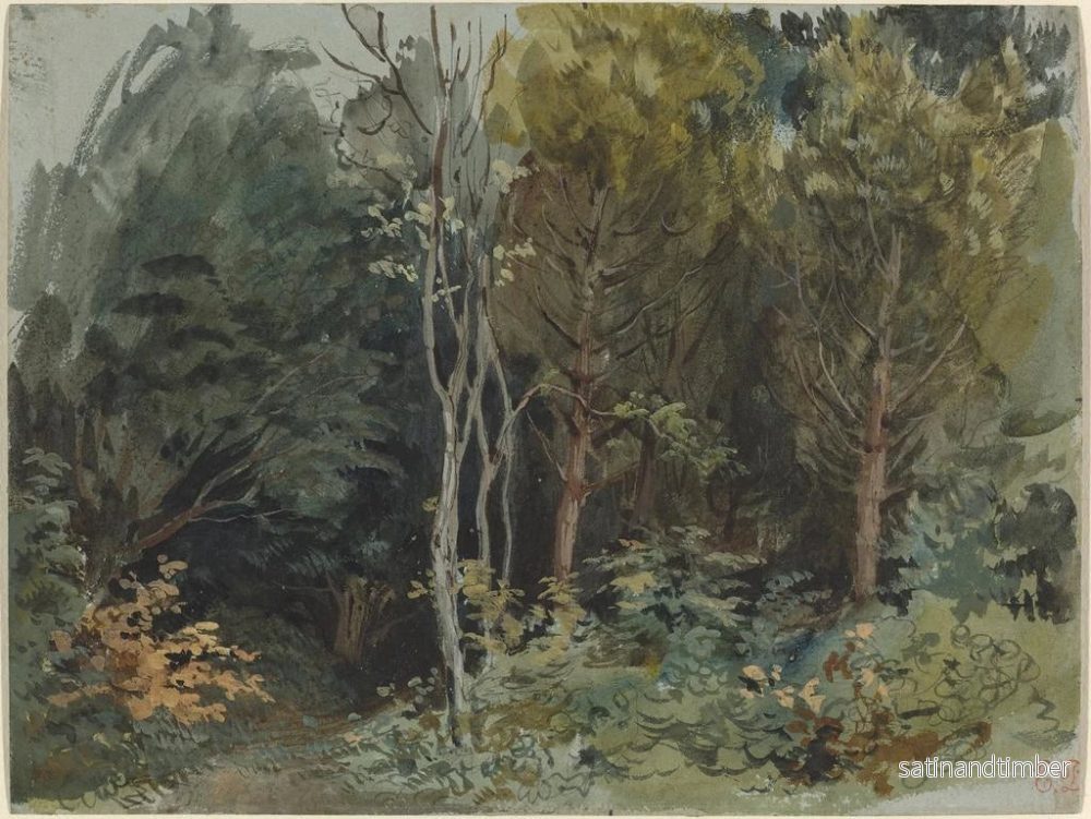 Reproduktion av målningen Le Bord d'un bois à Nohant - Eugène Delacroix - Bild 2