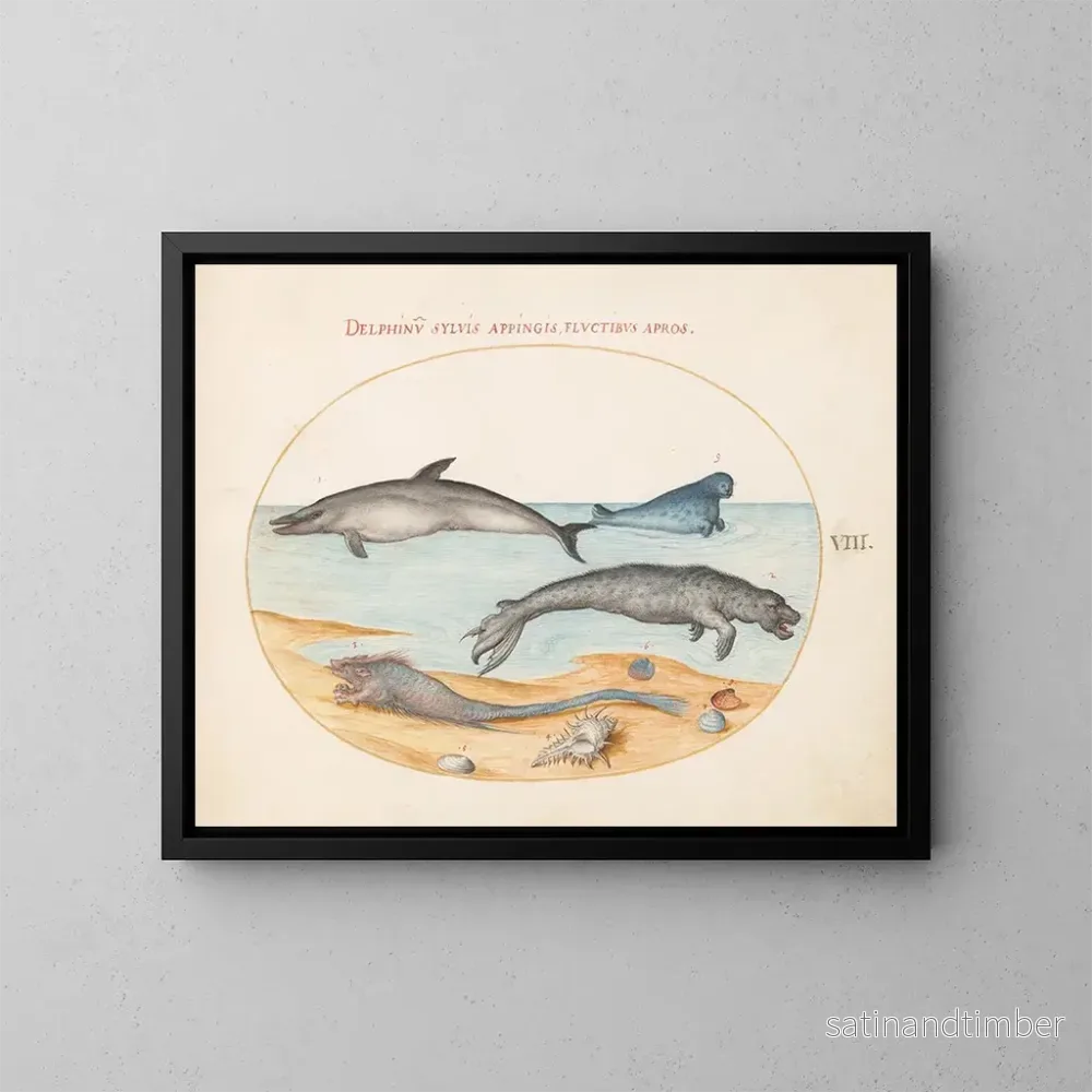 Reproduktion av målningen Platine 8: En delfin, två sälar, ett bréchet och snäckor - Joris Hoefnagel