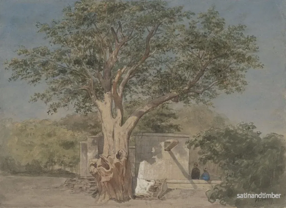 Reproduktion av målningen Cabane sous un arbre à Karo - Willem de Famars Testas - Bild 2