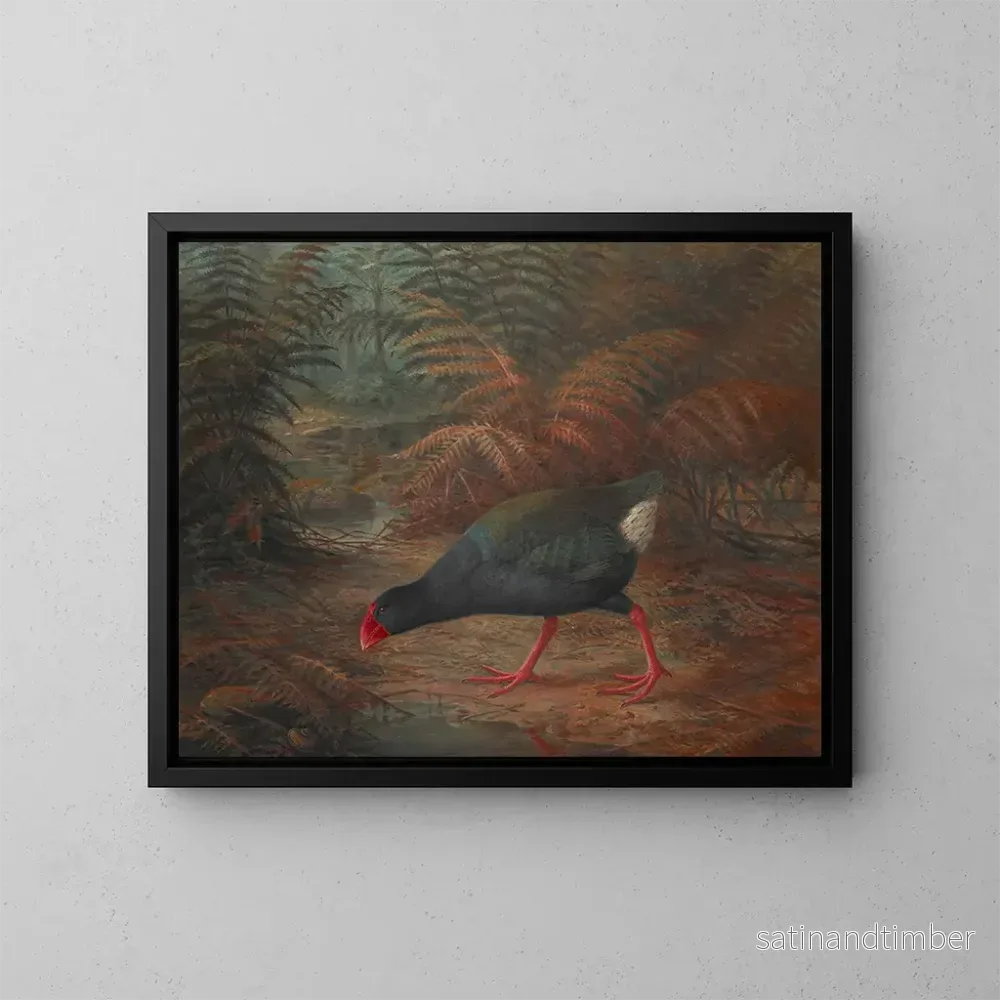 Reproduktion av målningen av en moho takahe Notornis mantelli - John Gerrard Keulemans