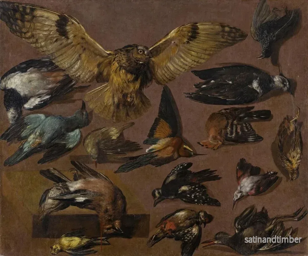 Reproduktion av målningen Studier av en uggla och andra fåglar - Pieter Boel - Bild 2