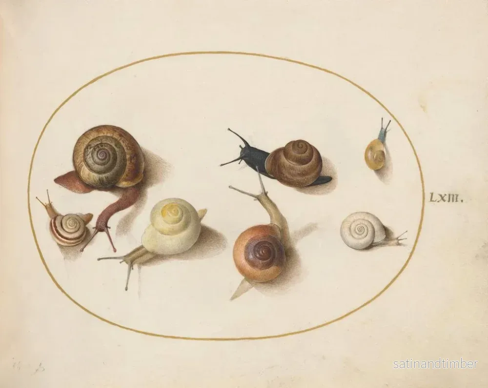 Reproduktion av målningen Sept escargots - Joris Hoefnagel - Bild 2