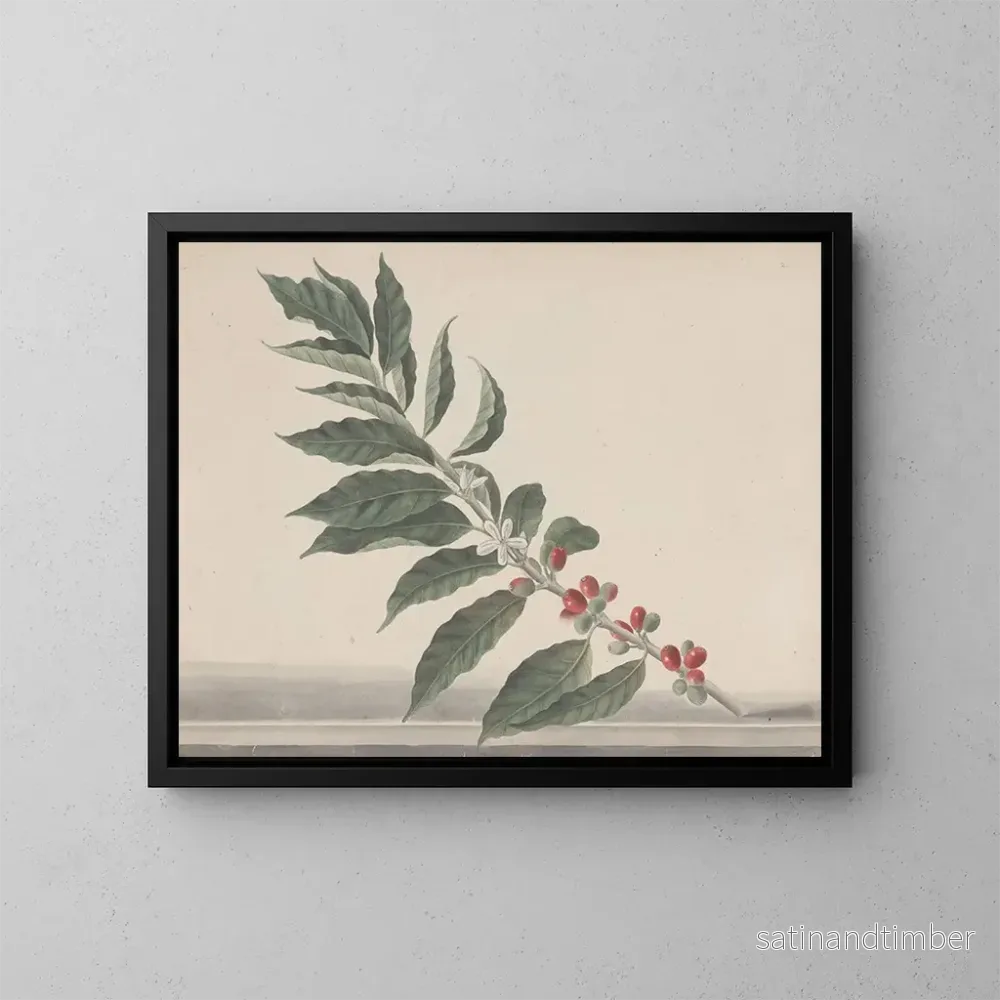 Reproduktion av målningen Histoire naturelle de Saint-Domingue Pl134 - René de Rabi