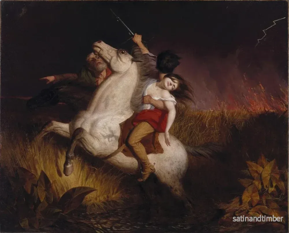 Reproduktion av målningen Prairie en feu - Charles Deas - Bild 2