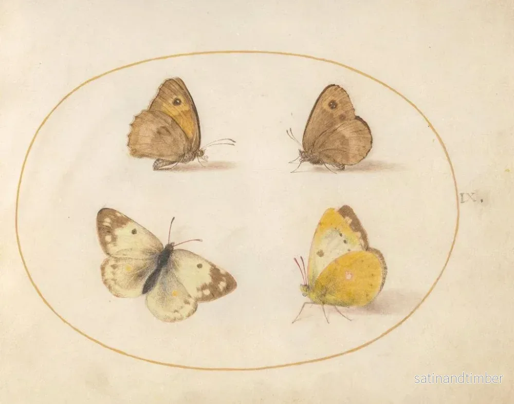 Reproduktion av målningen Plaque 09 Papillons Meadow Brown, Gatekeeper, Clouded Yellow och Bath White - Joris Hoefnagel - Bild 2