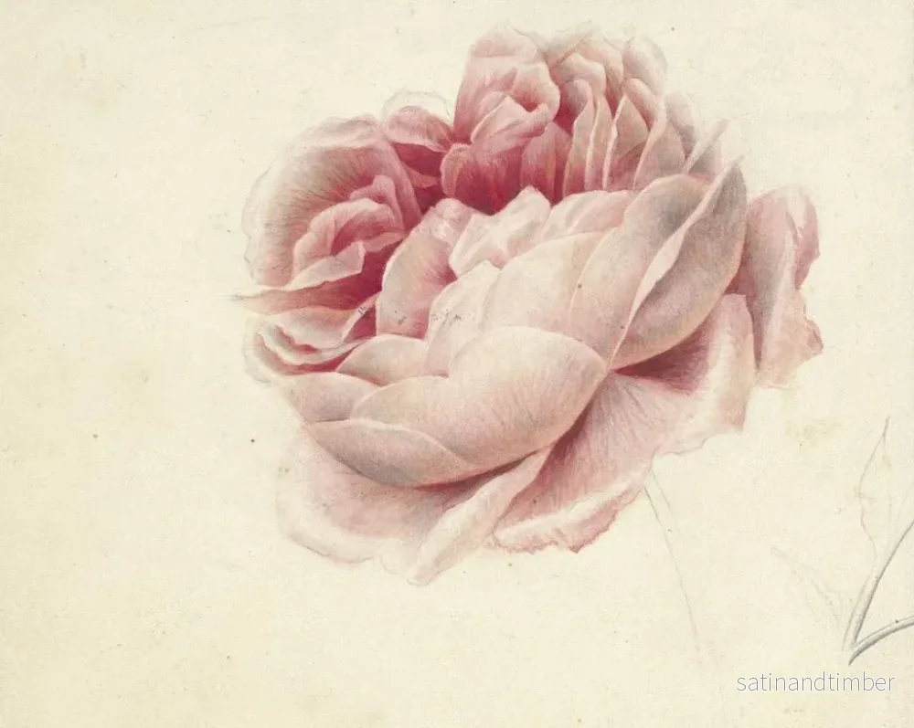 Reproduktion av målningen Roses roses - Georgius Jacobus Johannes van Os - Bild 2