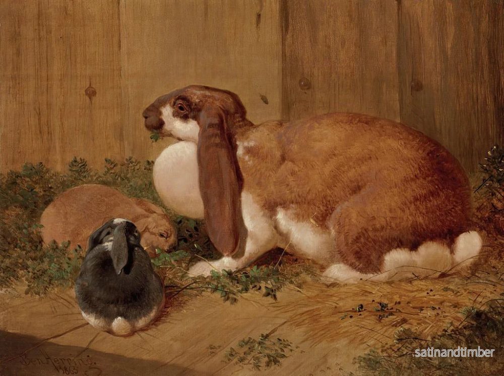 Reproduktion av målningen En kanin med stora öron och hennes lilla - Benjamin Herring - Bild 2