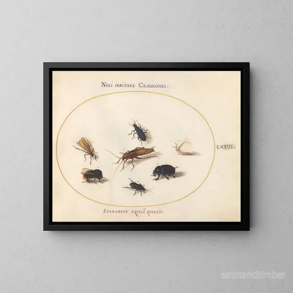 Reproduktion av målningen Platine 67 Sept insekter inklusive en vit fjäril och en bi - Joris Hoefnagel