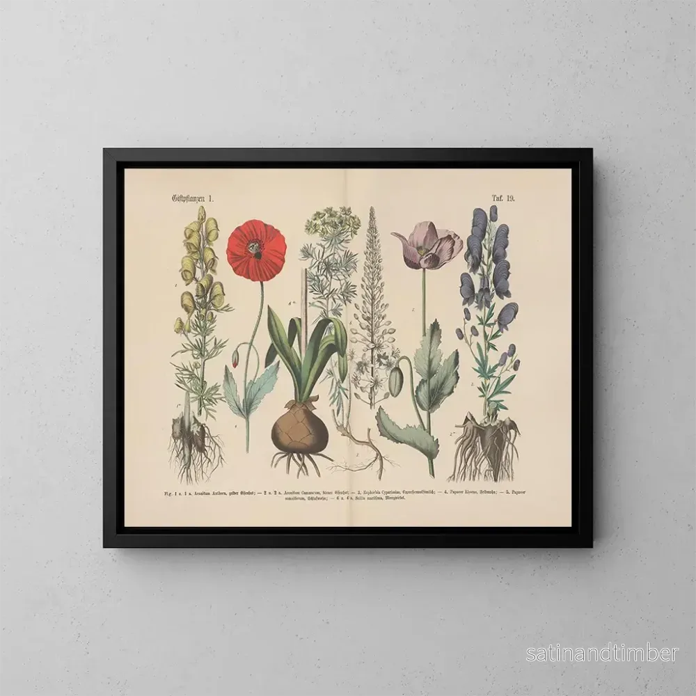 Reproduktion av målningen Manuel pratique de botanique en mots et en images Pl19 - Carl Hoffmann