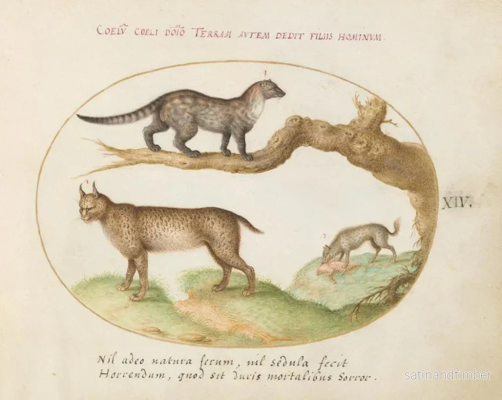 Reproduktion av målningen En civet, en lodjur och en hyena som äter en hund - Joris Hoefnagel - Bild 2