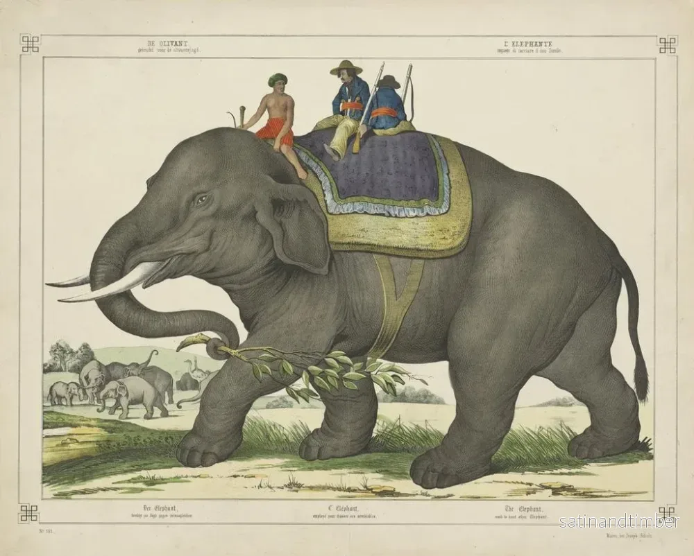 Reproduktion av målningen L'éléphant chassait d'autres éléphants - Joseph Scholz - Bild 2