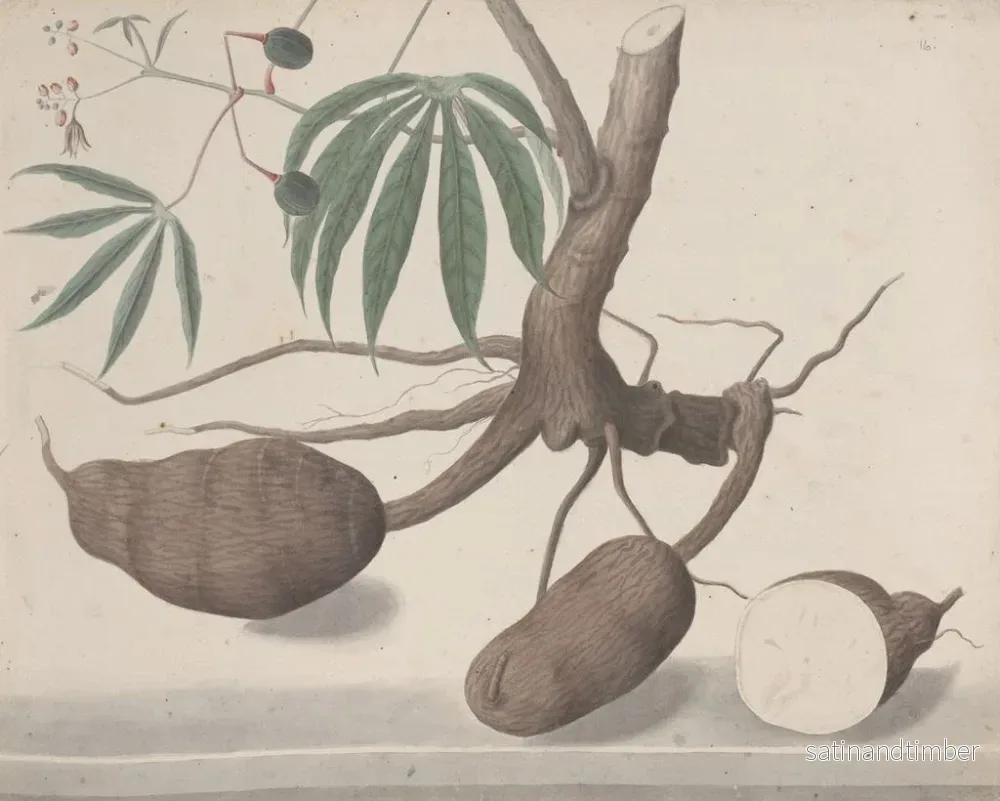 Reproduktion av målningen Histoire naturelle de Saint-Domingue Pl147 - René de Rabi - Bild 2