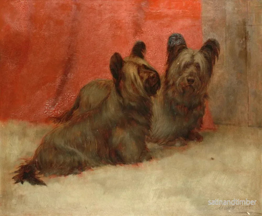 Reproduktion av målningen av två skye terriers - Maud Earl - Bild 2