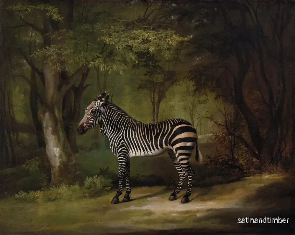 Reproduktion av målningen Zèbre - George Stubbs - Bild 2