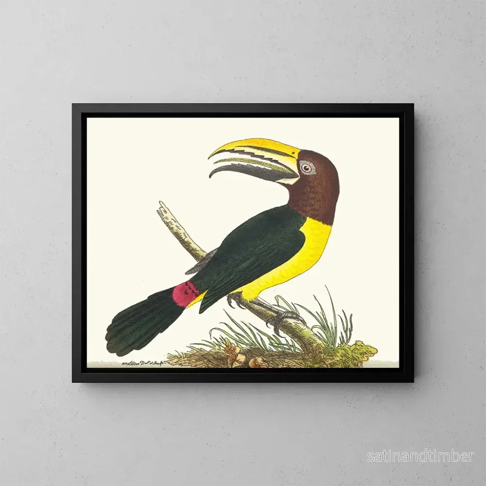 Reproduktion av målningen Toucan grön - George Shaw