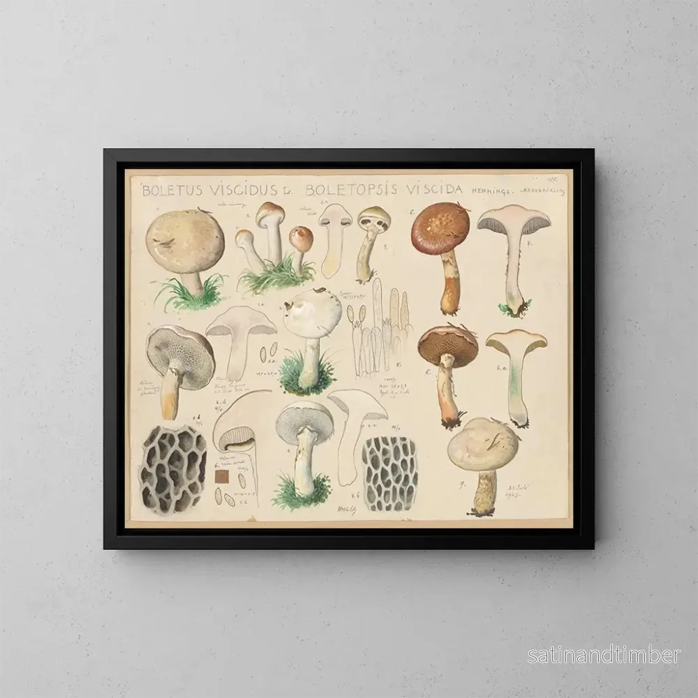 Reproduktion av målningen Boletus viscidus - Hans Baldung
