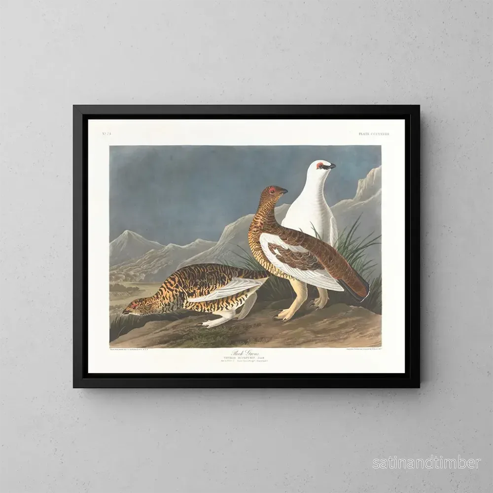 Reproduktion av målningen av klippformationer - John James Audubon