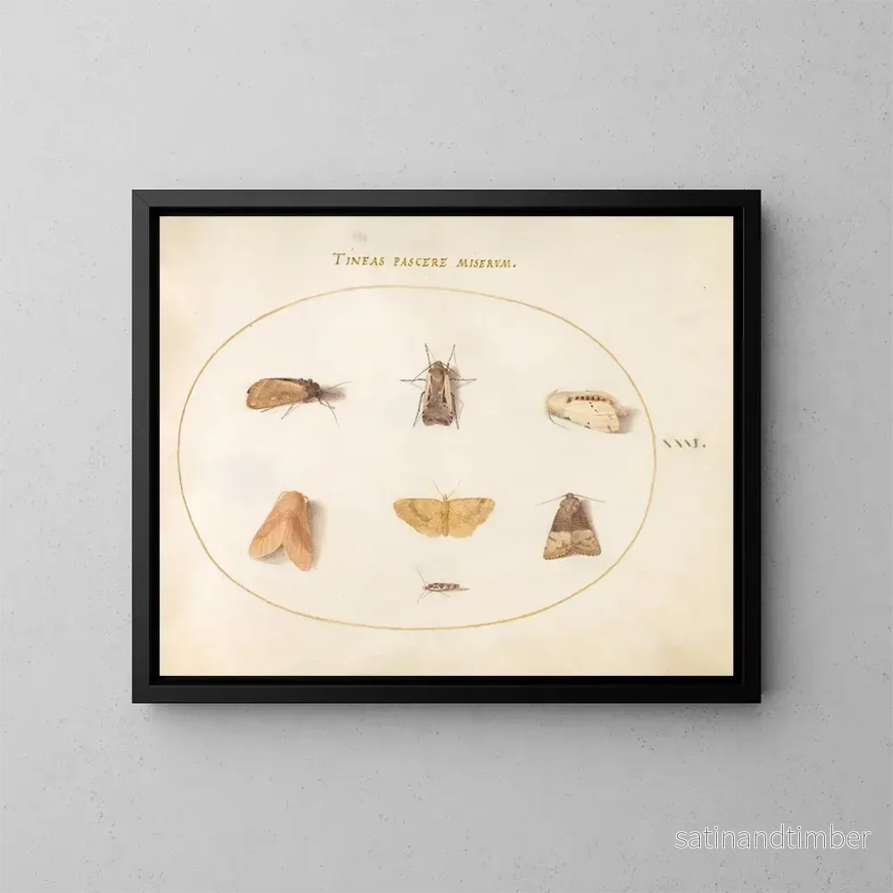 Reproduktion av målningen Platine 31 Sept papillons de nuit - Joris Hoefnagel