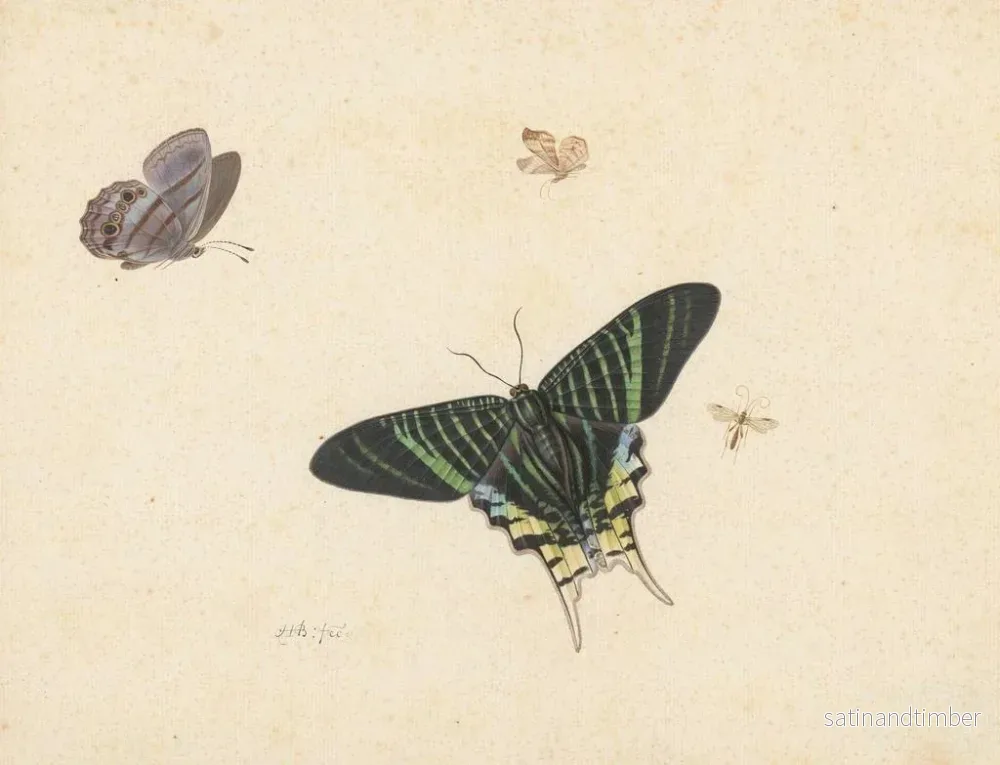 Reproduktion av målningen Tre fjärilar och en geting eller fluga - Herman Henstenburgh - Bild 2