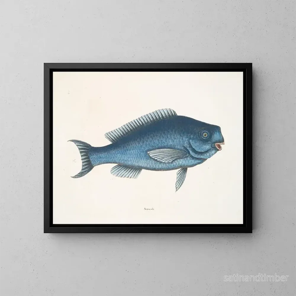 Reproduktion av målningen La Poisson bleu - Mark Catesby