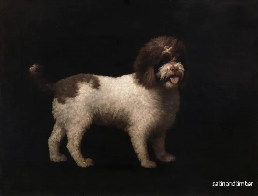Reproduktion av målningen av vattenspaniël - George Stubbs - Bild 2
