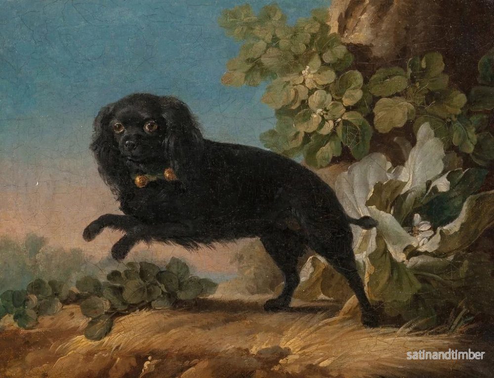 Reproduktion av målningen Mimi, Madame de Pompadours favorit hund - Jean-Jacques Bachelier - Bild 2