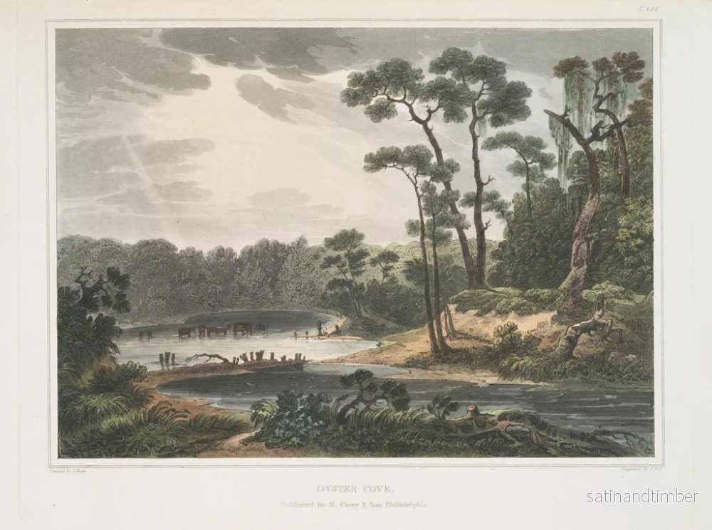 Reproduktion av målningen Cove aux huîtres, Virginie - Joshua Shaw - Bild 2