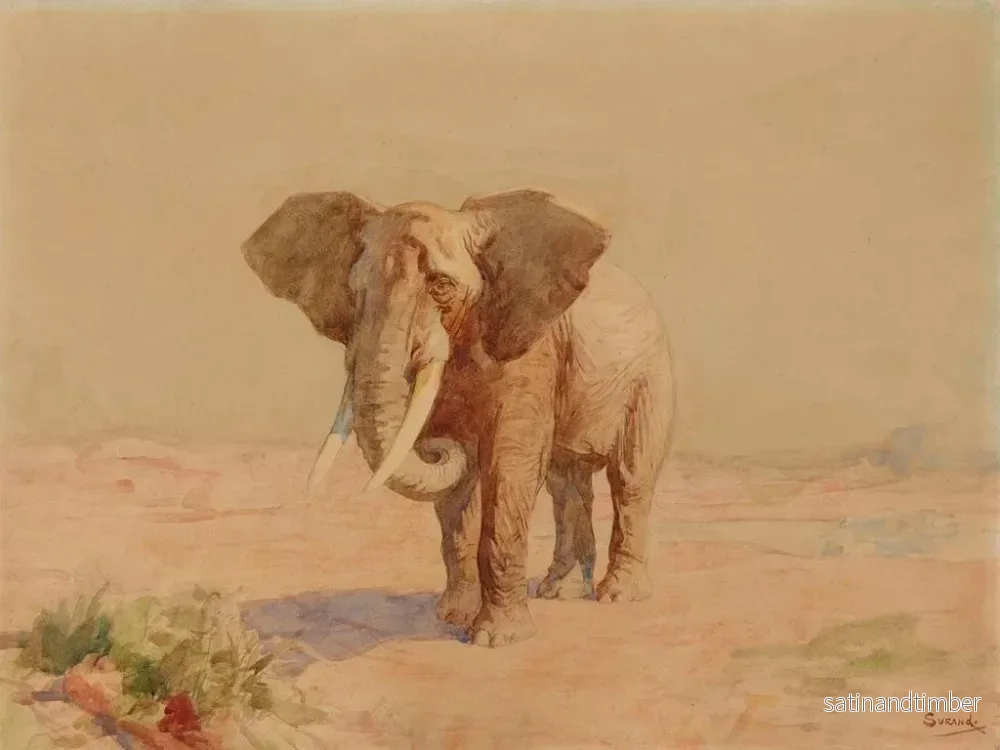 Reproduktion av målningen Elefant - Gustave Surand - Bild 2
