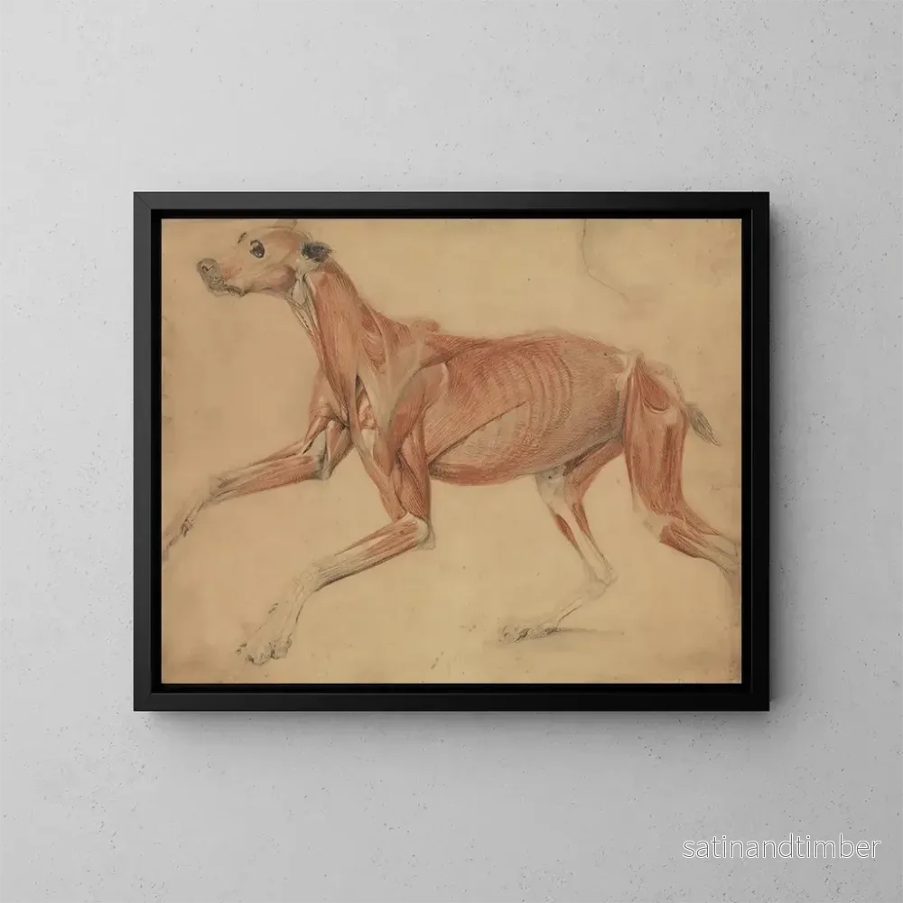 Reproduktion av målningen Studie i full storlek av en hund – Charles Landseer Reproduktion av målningen Studie i full storlek av en hund – Charles Landseer