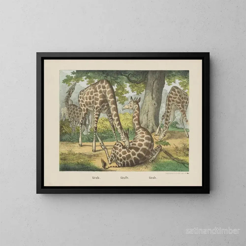 Reproduktion av målningen Giraff - Joseph Scholz