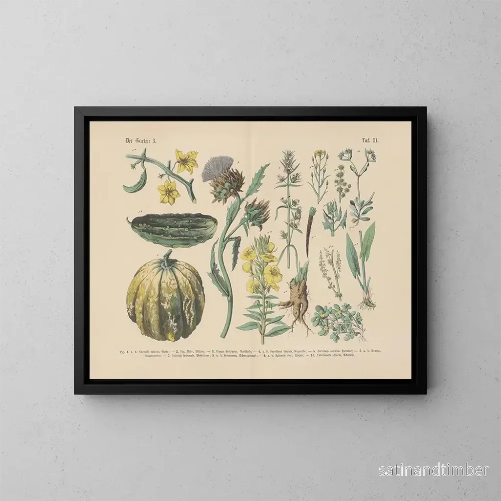 Reproduktion av målningen Manuel de botanique pratique en mots et en images Pl51 - Carl Hoffmann