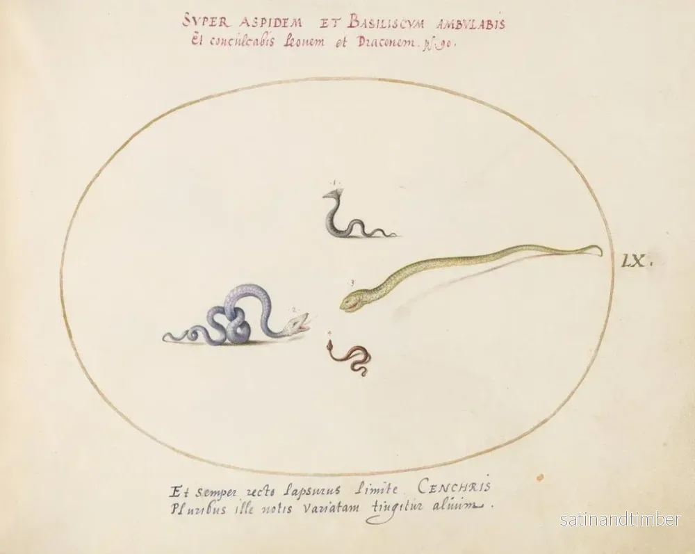 Reproduktion av målningen Quatre petits serpents - Joris Hoefnagel - Bild 2