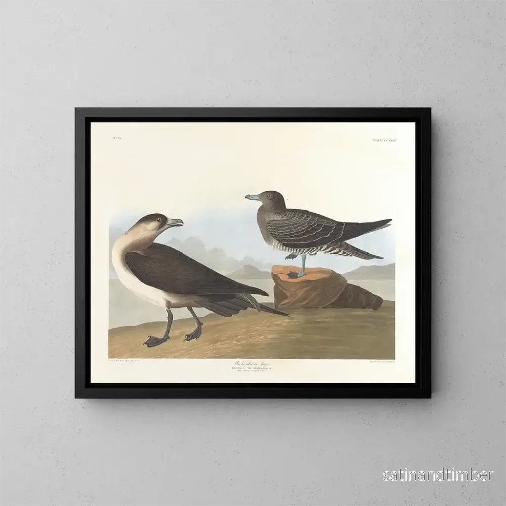 Reproduktion av målningen Le chasseur de Richardson - John James Audubon