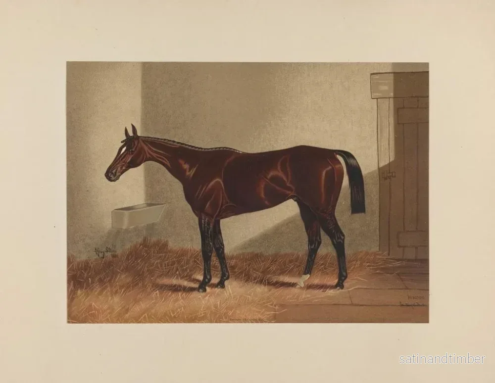 Reproduktion av målningen Hindou - Henry Stull - Bild 2