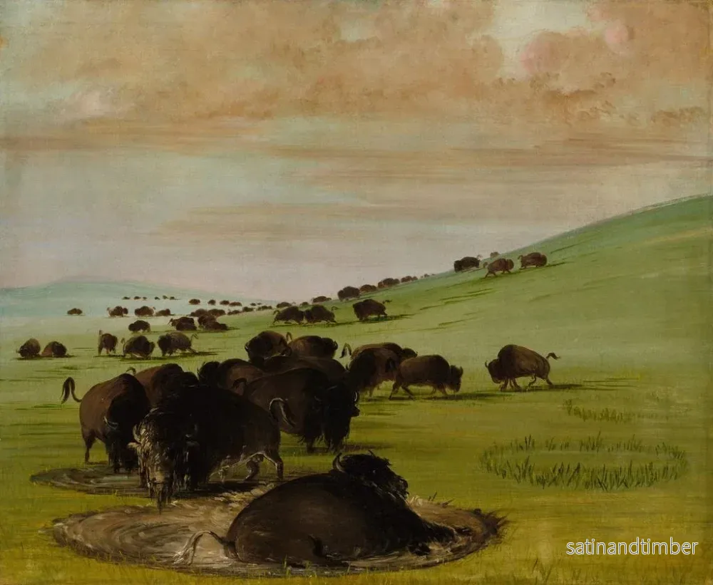 Reproduktion av målningen Bisons i ett vattengropp - George Catlin - Bild 2