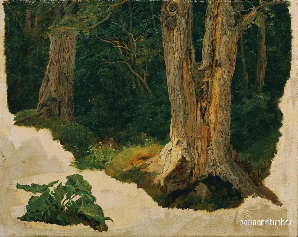 Reproduktion av målningen Studie av träd - Ferdinand Georg Waldmüller - Bild 2