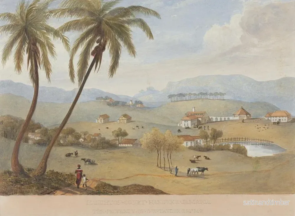 Reproduktion av målningen Haughton Court, Hanovre, Jamaïque - James Hakewill - Bild 2