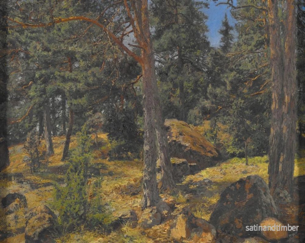 Reproduktion av målningen En bänk av granar - Gottfrid Samuel Nickolaus Kallstenius - Bild 2