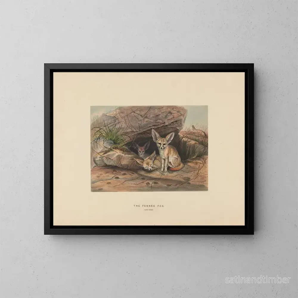 Reproduktion av målningen Le fennec - Joseph Wolf