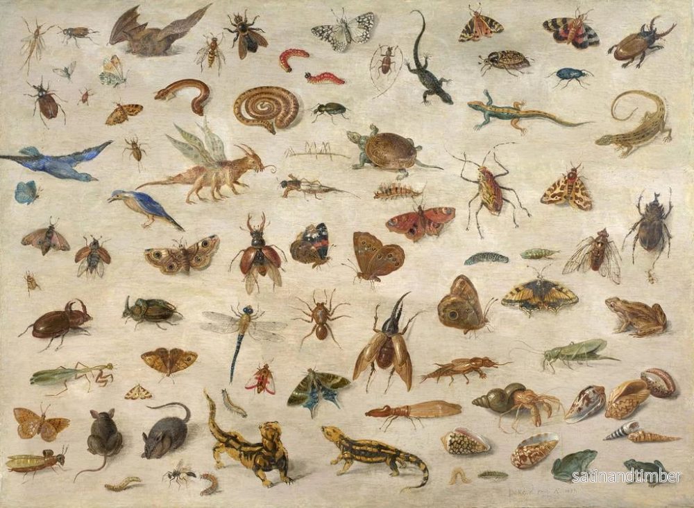 Reproduktion av målningen av insekter, groddjur, snäckor och möss - Jan van Kessel den äldre - Bild 2