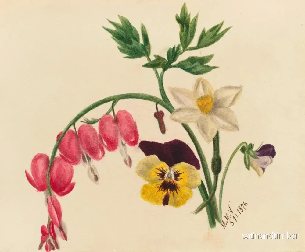 Reproduktion av målningen av Blandade blommor - Mary Vaux Walcott - Bild 2